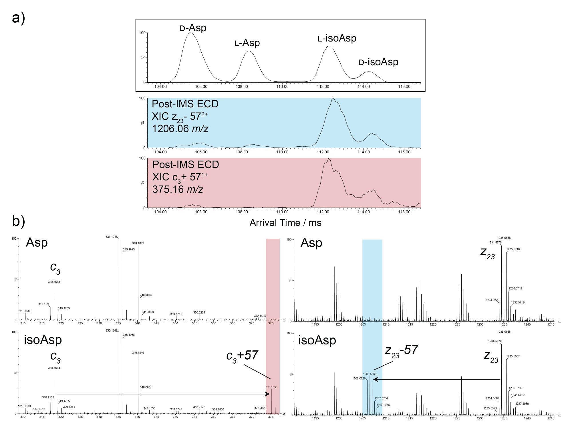 Cyclic ion mobility coupled with ECD