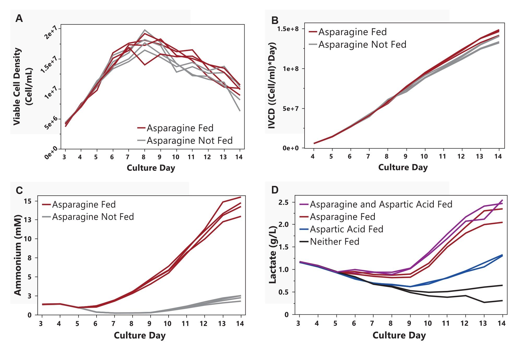 Time course plots of the 14-day bioreactor run depicting changes with asparagine feeding for (A) viable cell density, (B) IVCD, (C) ammonium accumulation, and (D) lactate accumulation for each of the eight experimental conditions. Experimental conditions run in duplicate were averaged and the mean value plotted