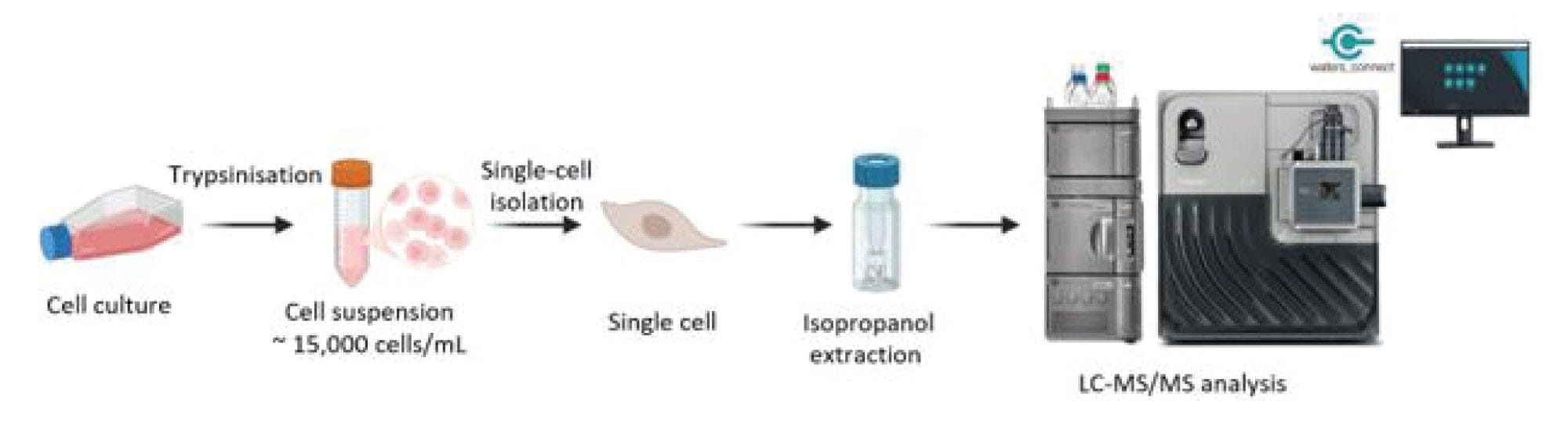 Single-cell sample preparation workflow
