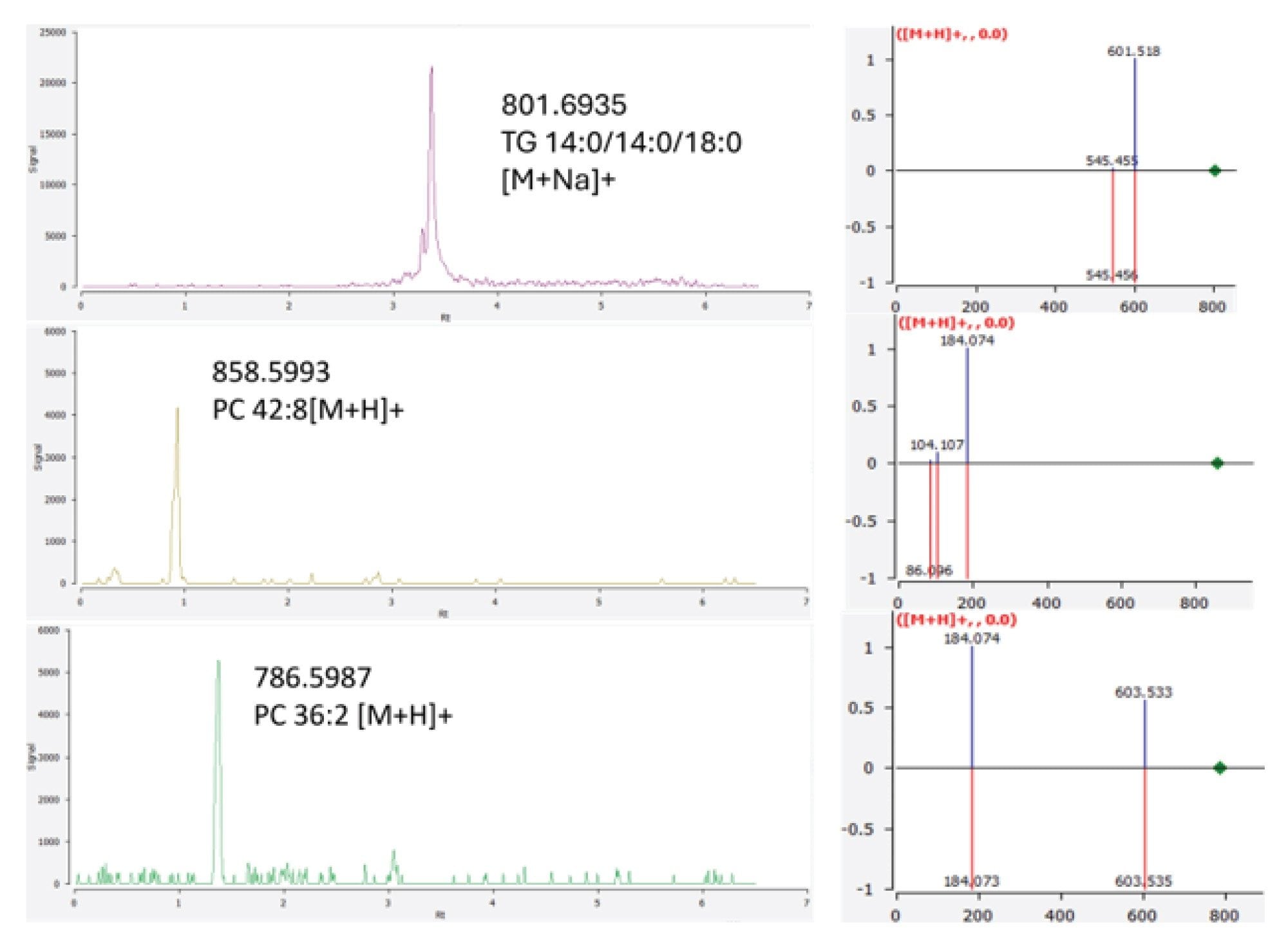 The extracted ion chromatograms of endogenous lipids: TG 46:0 [M+Na] + (m/z=983.8030), PC 42:8 [M+H] + (m/z=858.5993) and PC 36:2 [M+H] + (m/z=786.5987). Their corresponding MS2 spectra are also shown, indicating the raw experimental data (blue peaks) matched to the reference library spectra (red peaks)