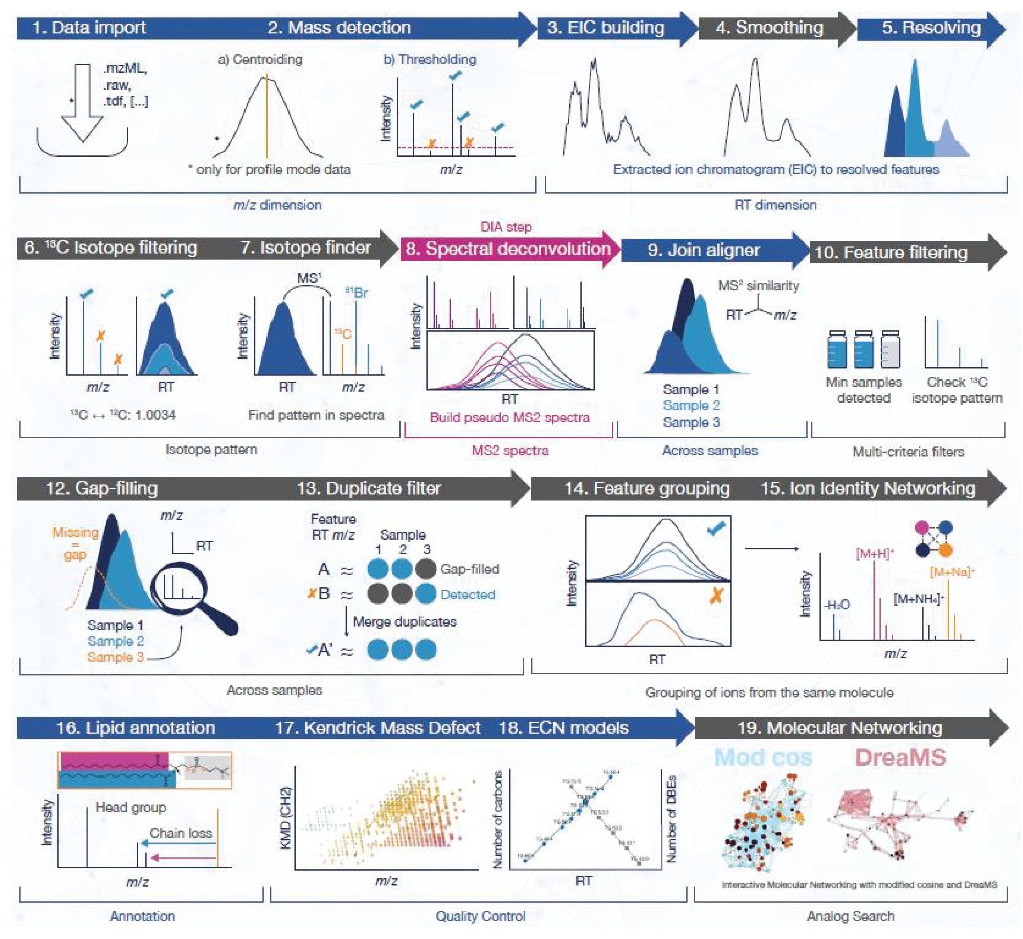 Overview of the various stages encountered during data processing within mzmine