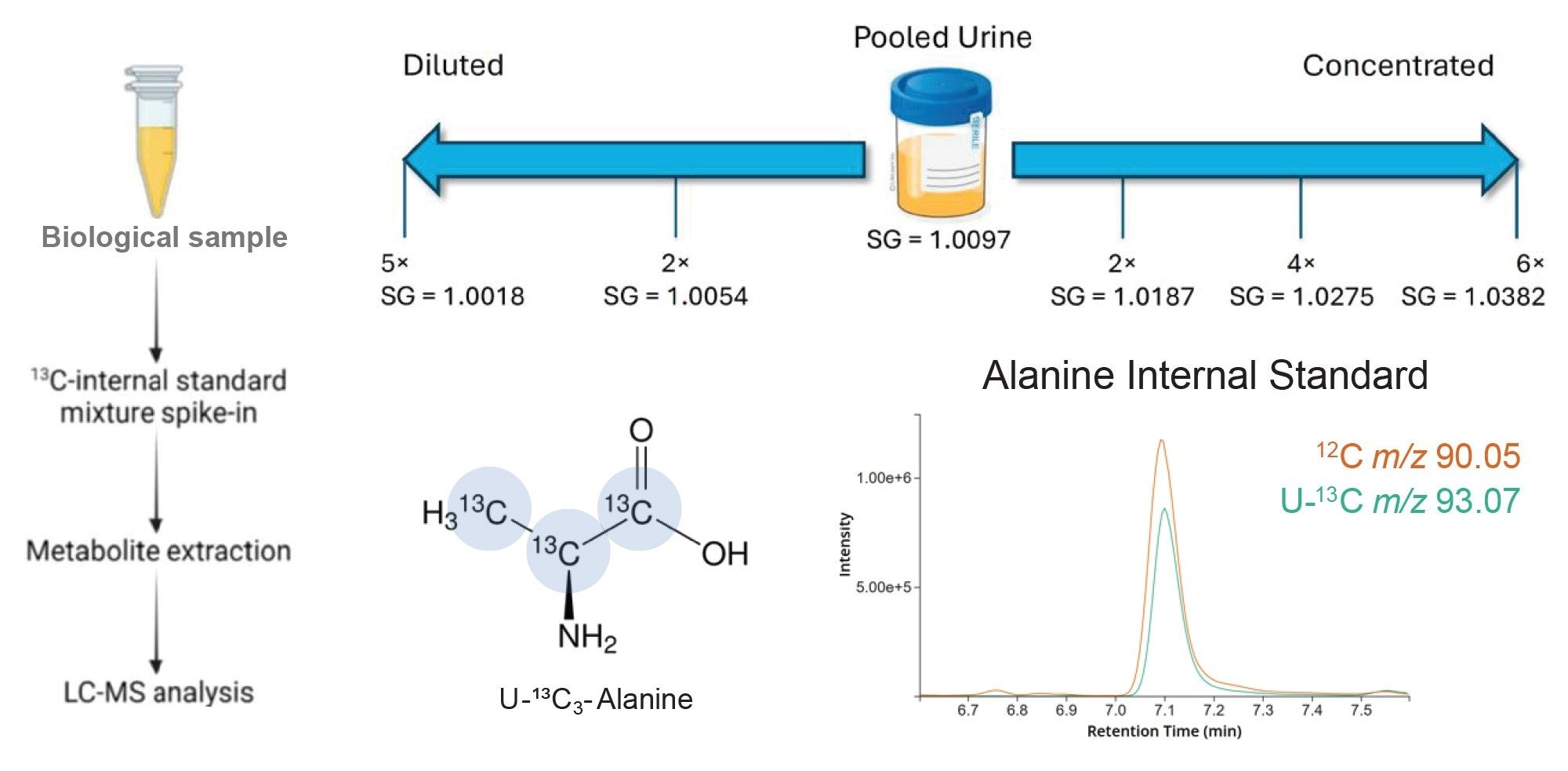 Example U-13C metabolite used as internal standard for quantification and schematic illustrating how matrix was treated to mirror specific gravity (SG) range.