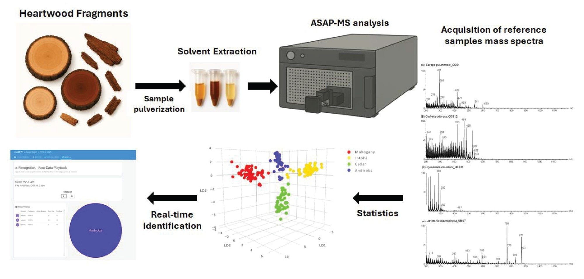 workflow for heartwood sample analysis