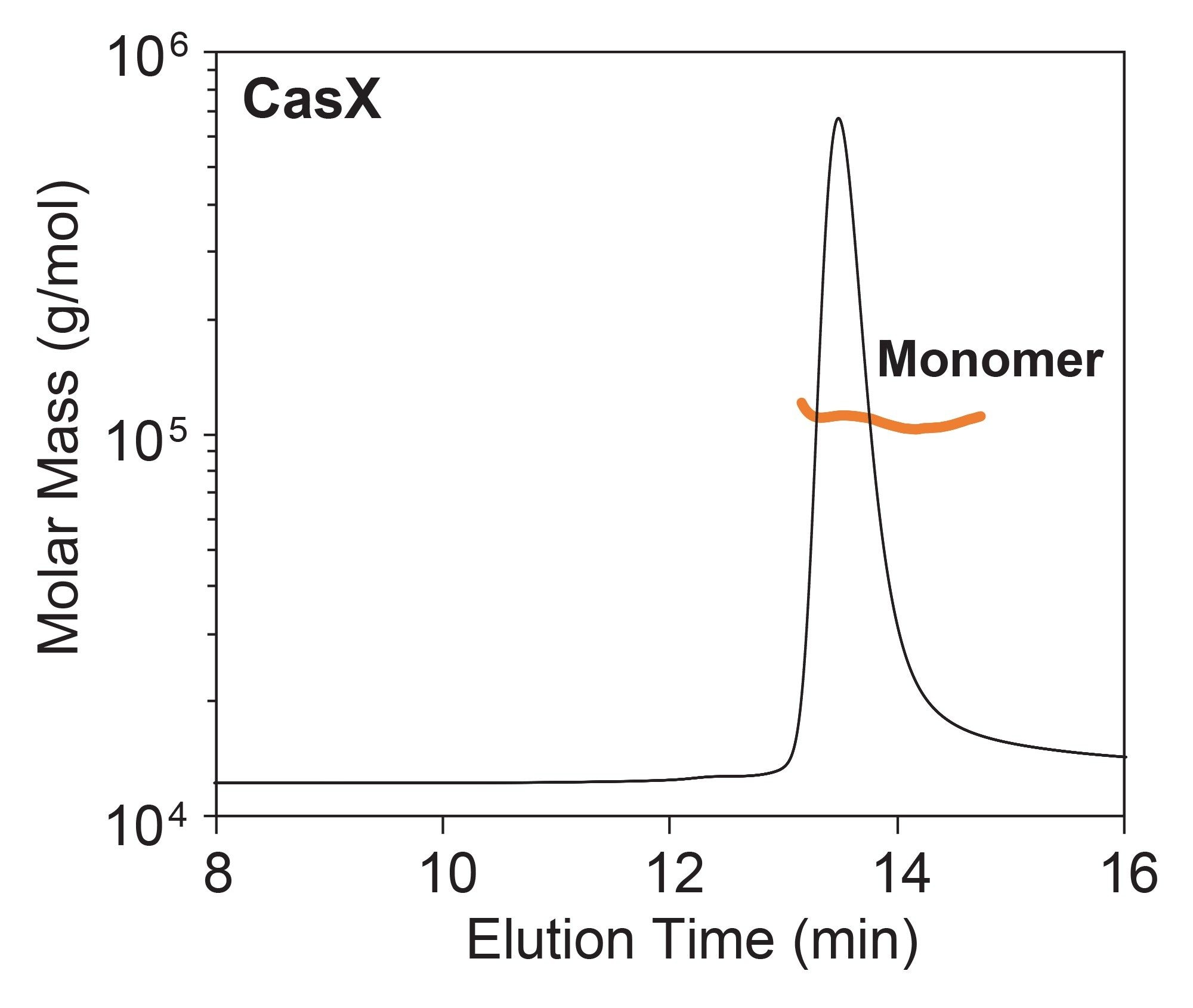 SEC-MALS of CasX apoenzyme