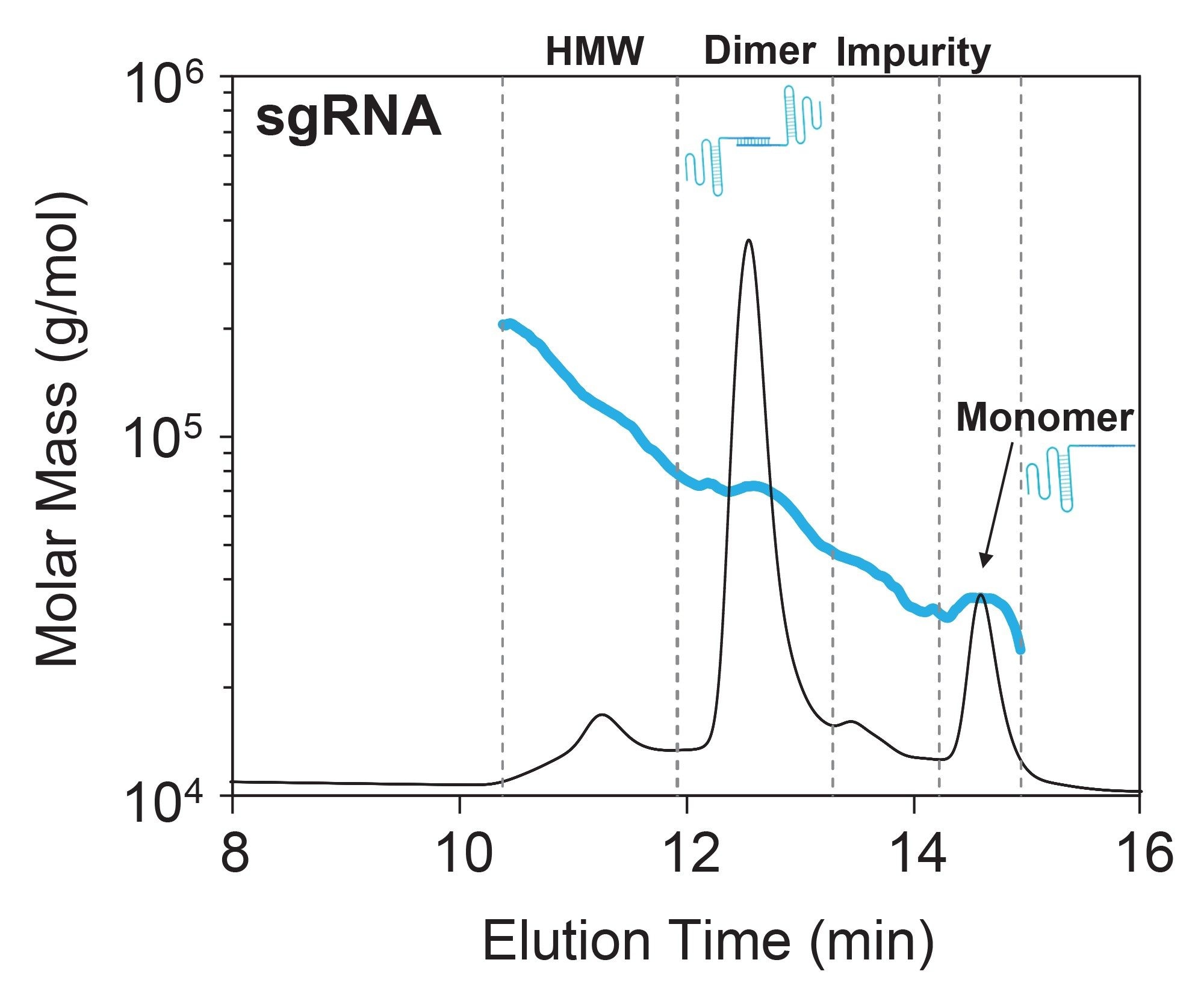 SEC-MALS of sgRNA