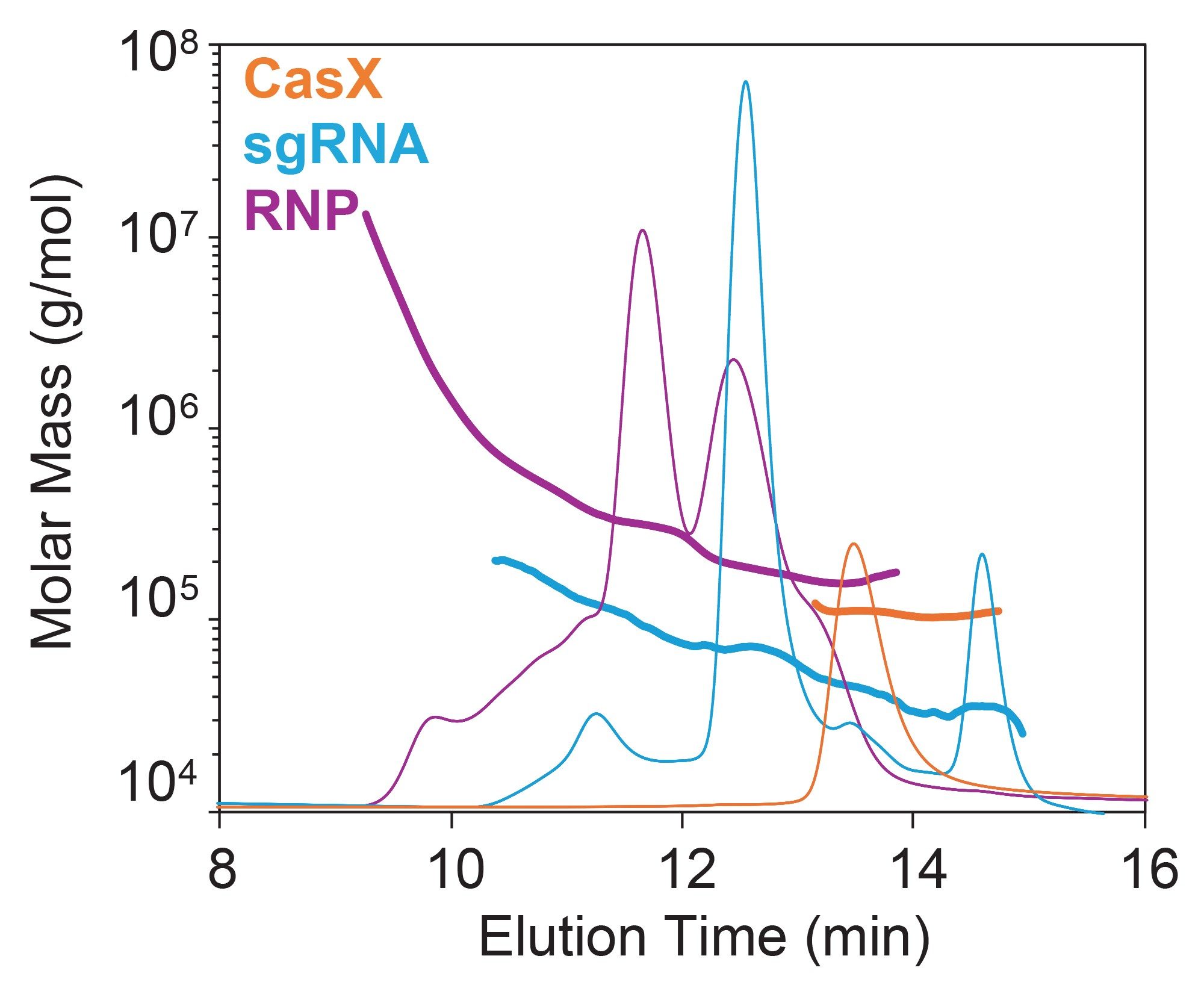 Elution time and measured (total) molar mass for RNP complex compared to individual CasX protein and sgRNA confirm that MALS is essential for confirming the molar mass and identity of each peak
