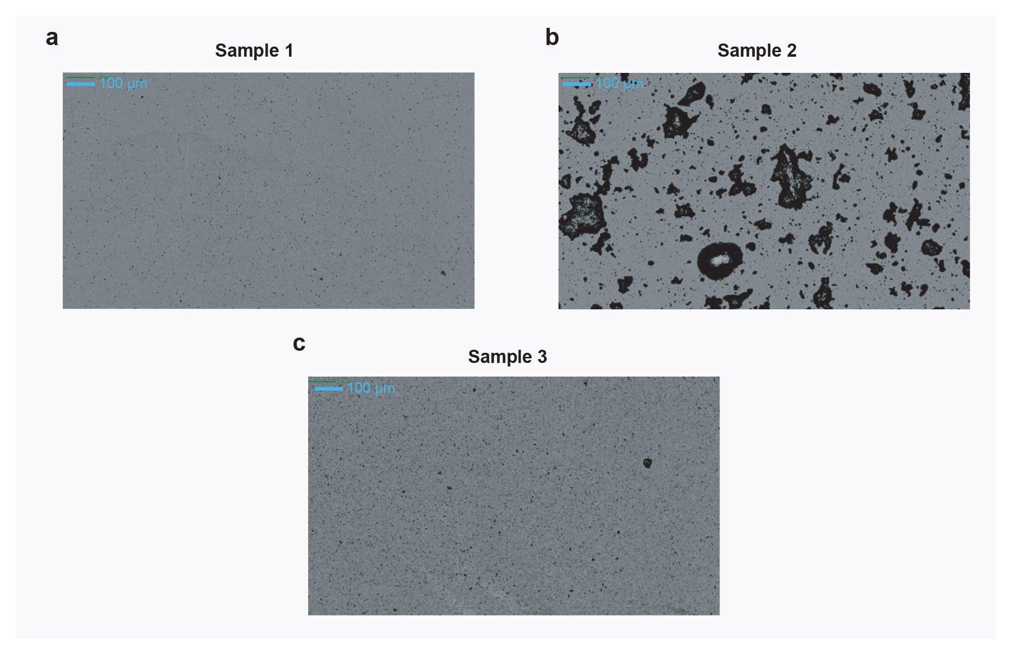 Magnified whole well BMI images