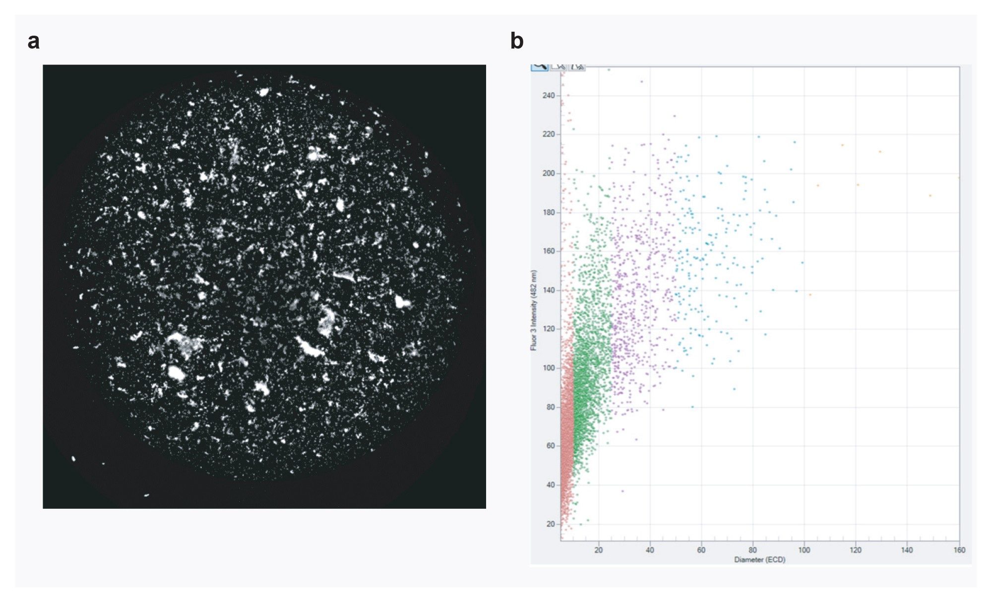 FMM analysis of Samples