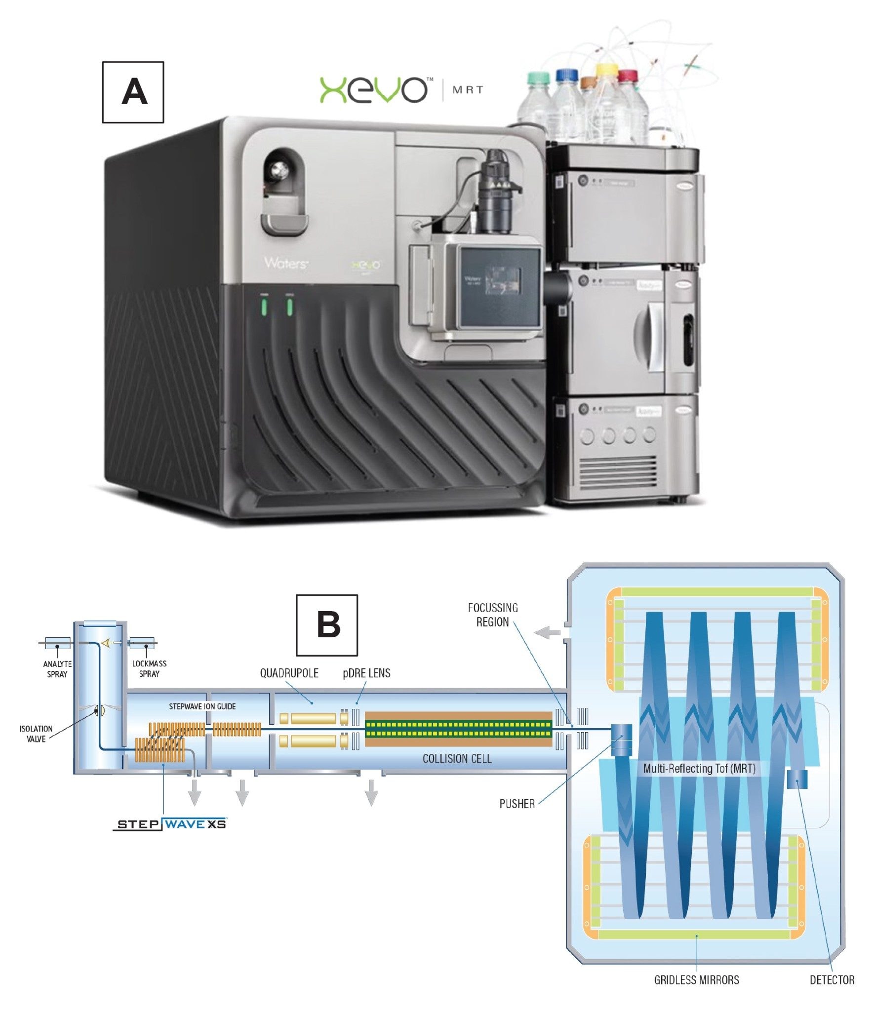 (a) xevo mrt qtof mass spectrometer with the acquity premier system; (b) schematic diagram of the xevo mrt qtof mass spectrometer