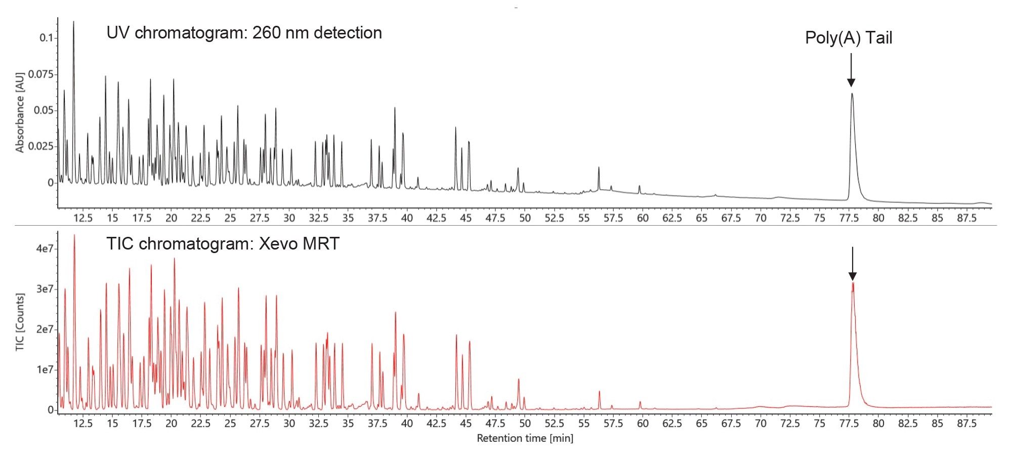 separation of the RNase T1 digest of Fluc mRNA