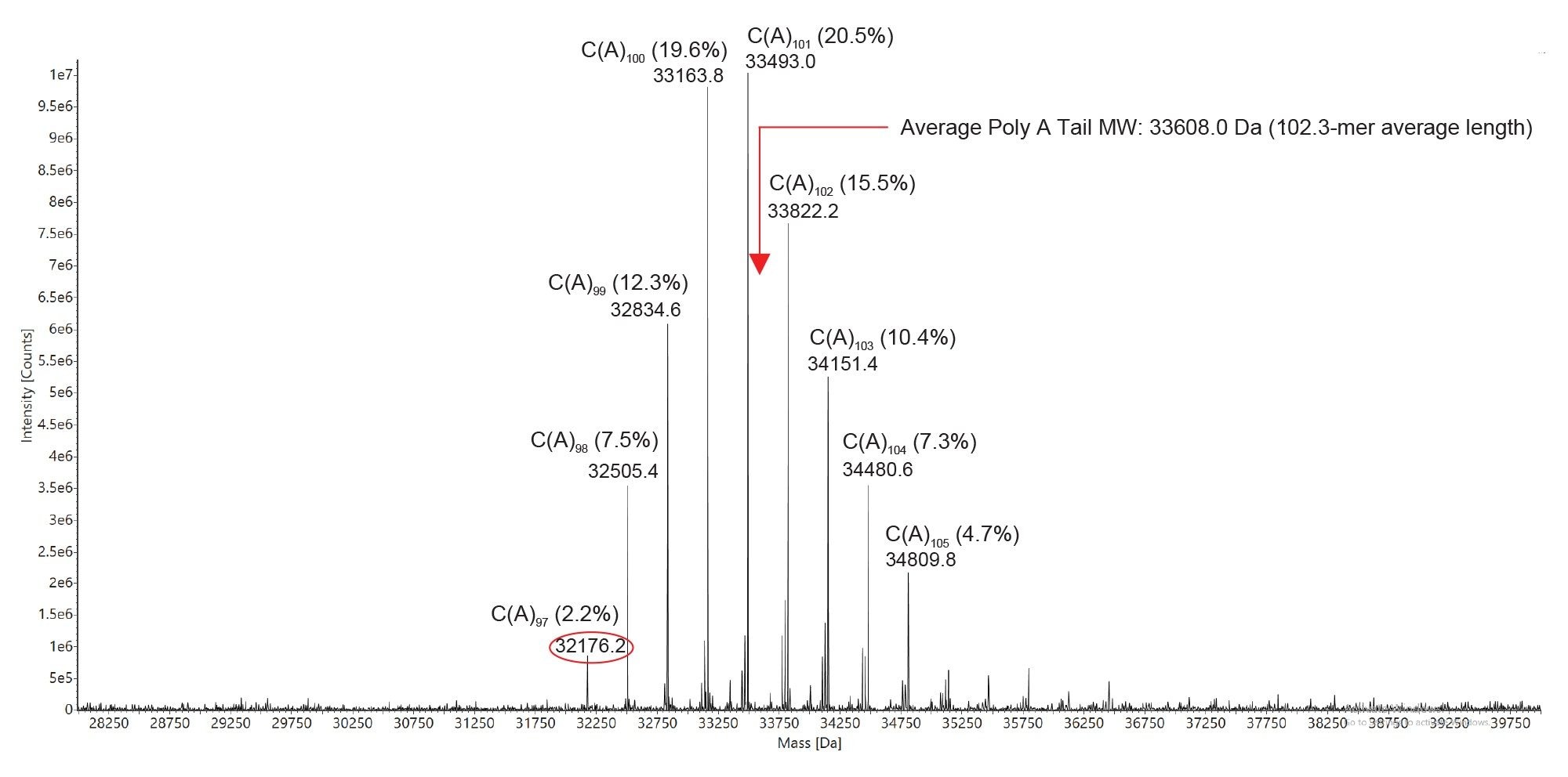 deconvolved ESI-MS spectrum showing the average molecular weight of the nine poly(A) tail oligonucleotide variants detected and their relative abundances calculated based on the corresponding ESI-MS signal intensities