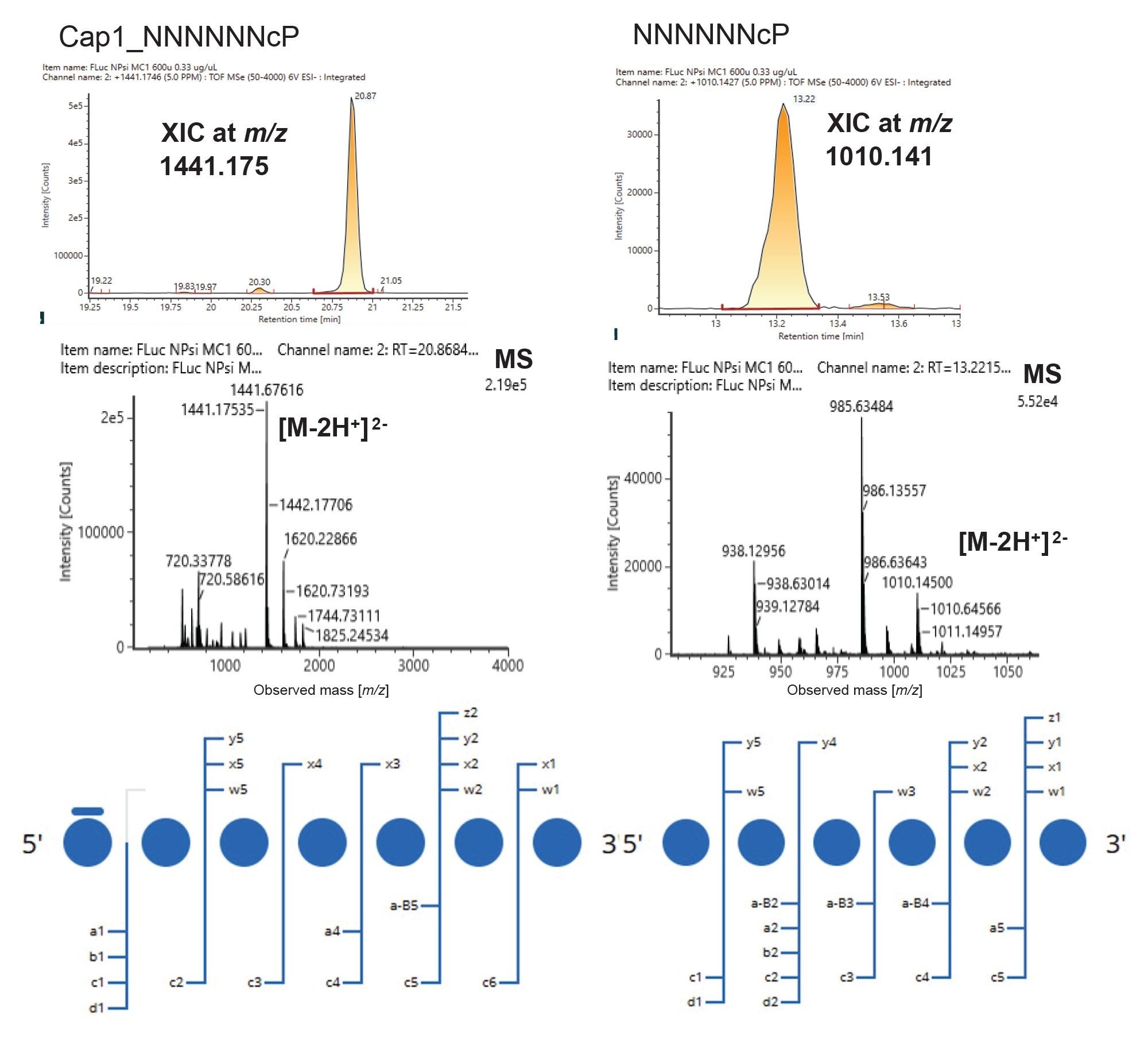 Characterization of different forms of 5’-capped and no cap oligonucleotides in the MC1 digest of m1Ψ-modified mRNA