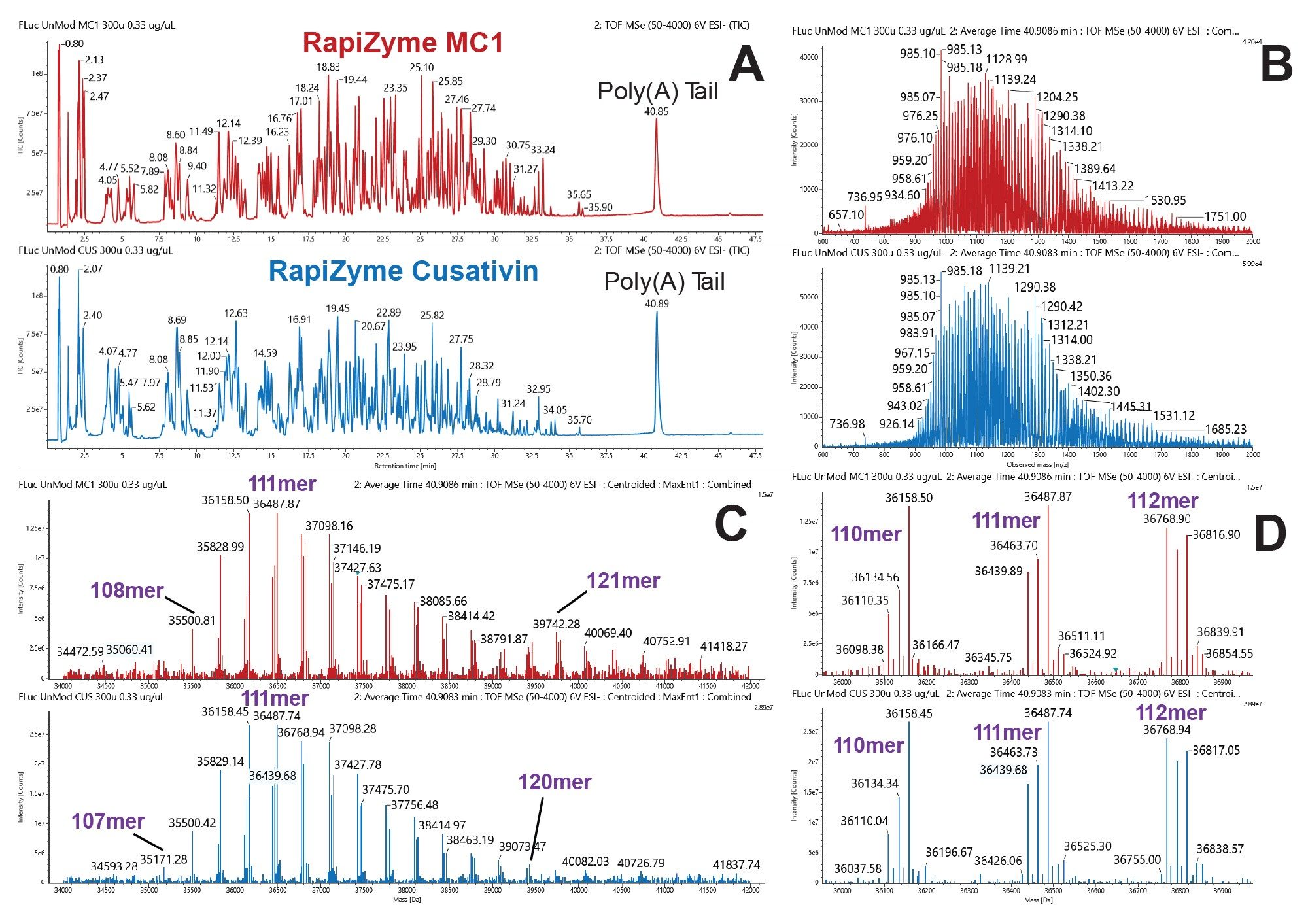 Poly(A) tail length and heterogeneity analysis