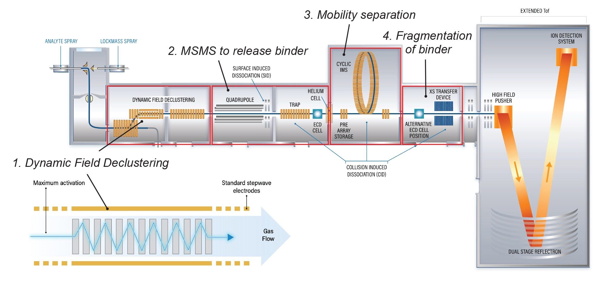 Schematic of the Cyclic IMS P20 Mass Spectrometer