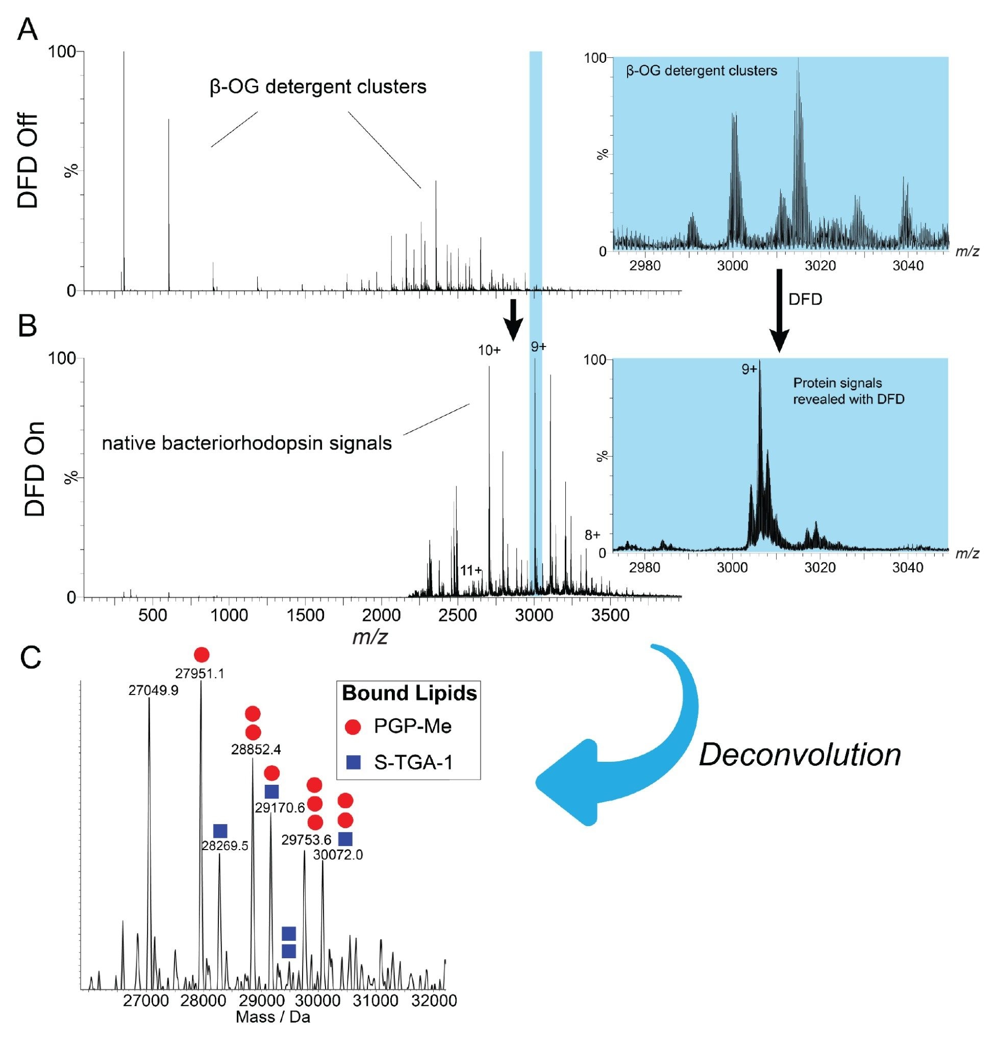 DFD reveals clear protein signals for native membrane proteins