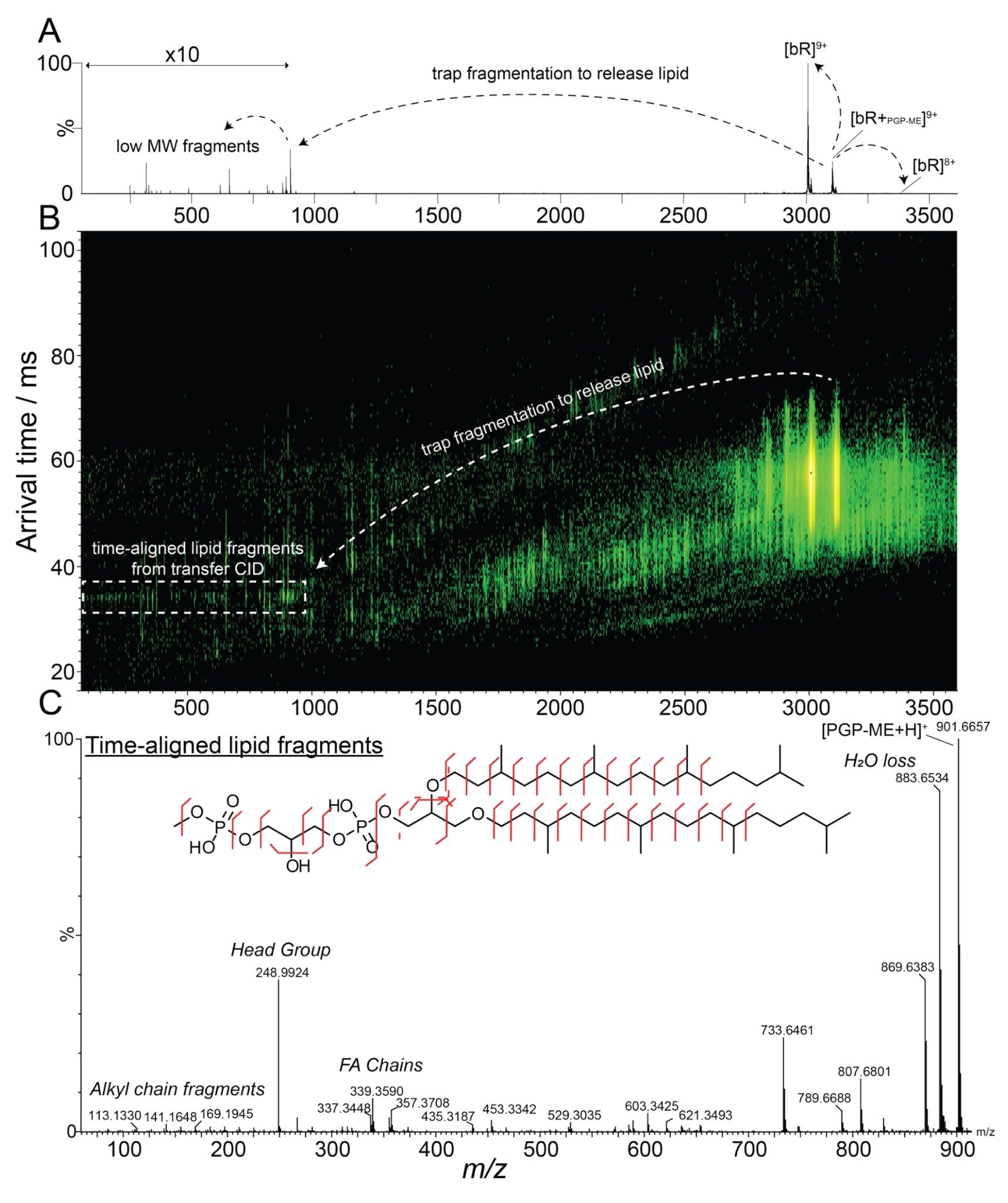 Pseudo-MS4 to confidently identify endogenous binders