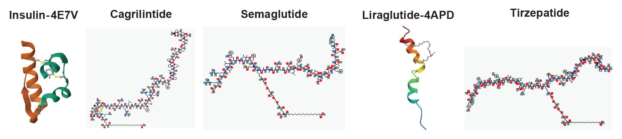 Three-dimensional structures of bovine insulin (PDB:4E7V), liraglutide (PDB:4APD) and PubChem representations of cagrilintide (171397054), semaglutide (56843331), and tirzepatide (166567236) are illustrated