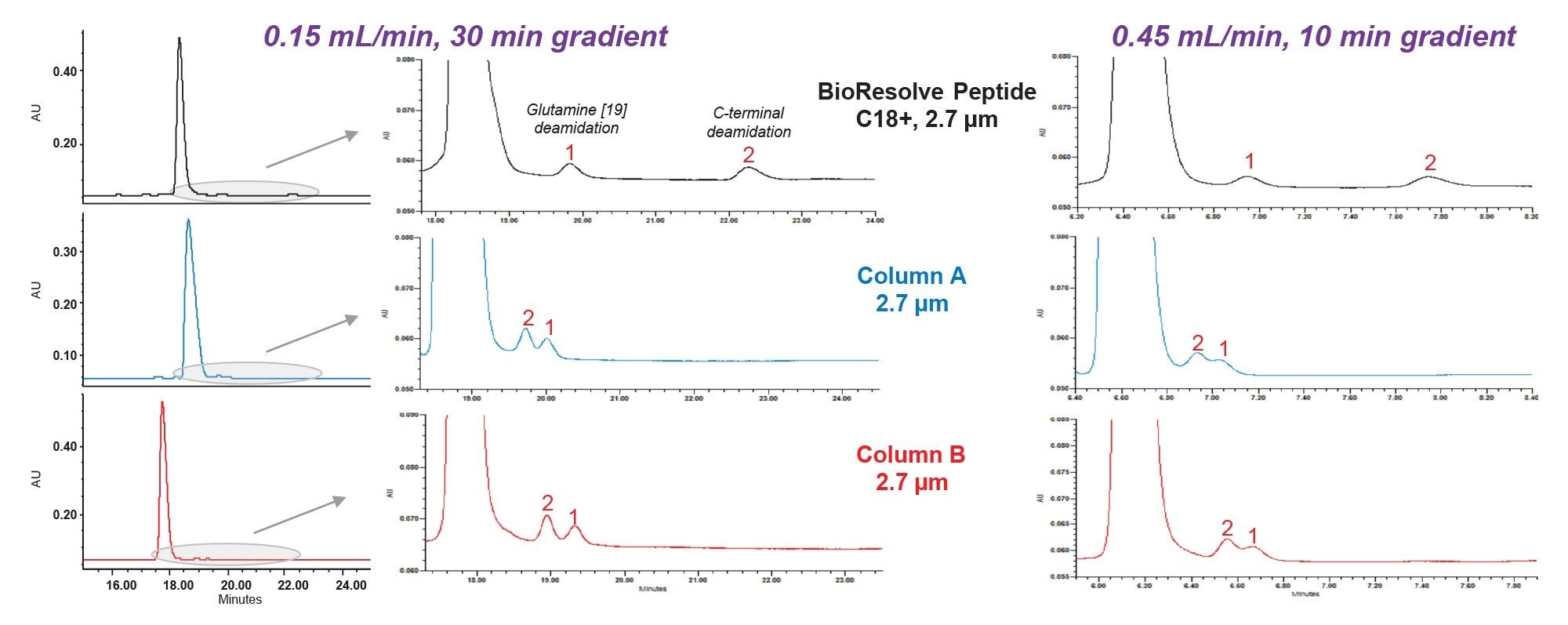 Separation of tirzepatide and two spiked-in impurities