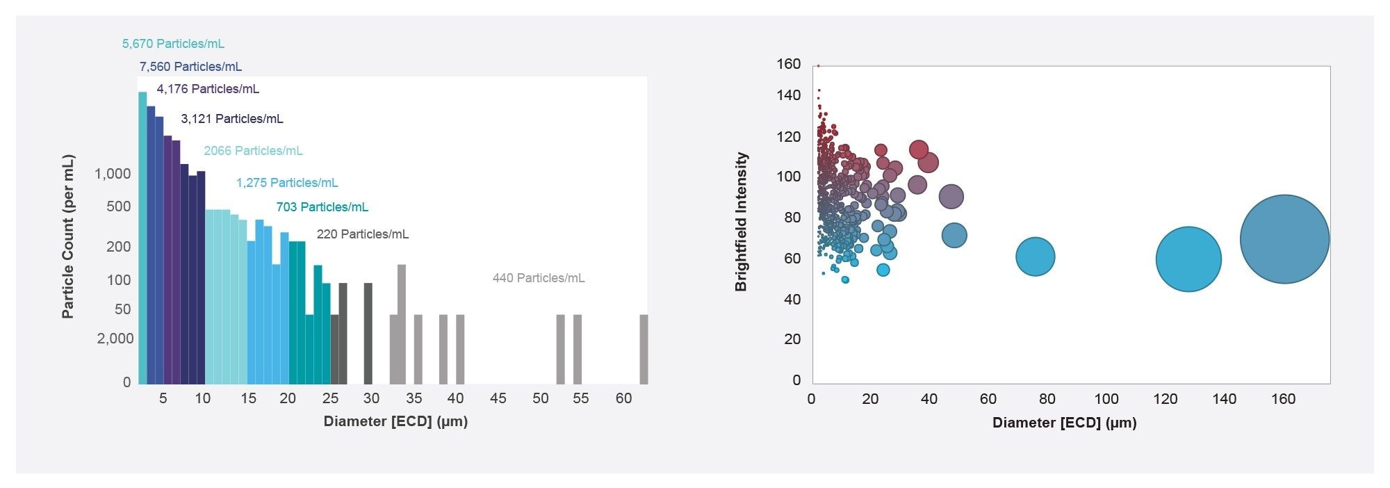 User-friendly software enables comprehensive data visualization providing size and count distribution analysis and detailed information on each particle