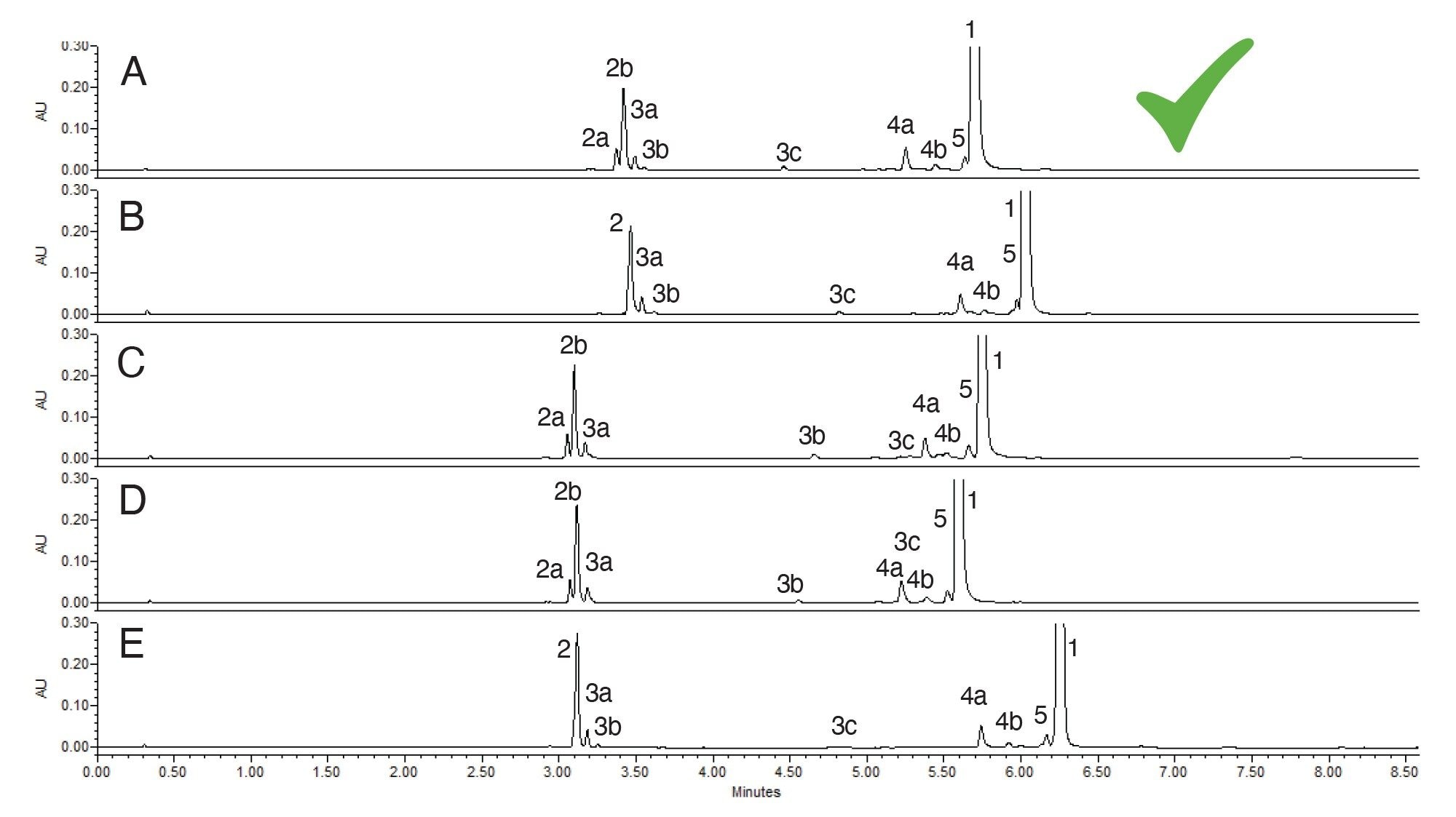 Analysis of the daraxonrasib forced degradation sample with acetonitrile as the strong solvent; peak identification shown in Figure 2. A) ACQUITY Premier BEH C18 Column, B) ACQUITY Premier CSH C18 Column, C) ACQUITY Premier BEH Phenyl Column, D) ACQUITY Premier CSH Phenyl-Hexyl Column, E) Atlantis Premier BEH C18 AX Column