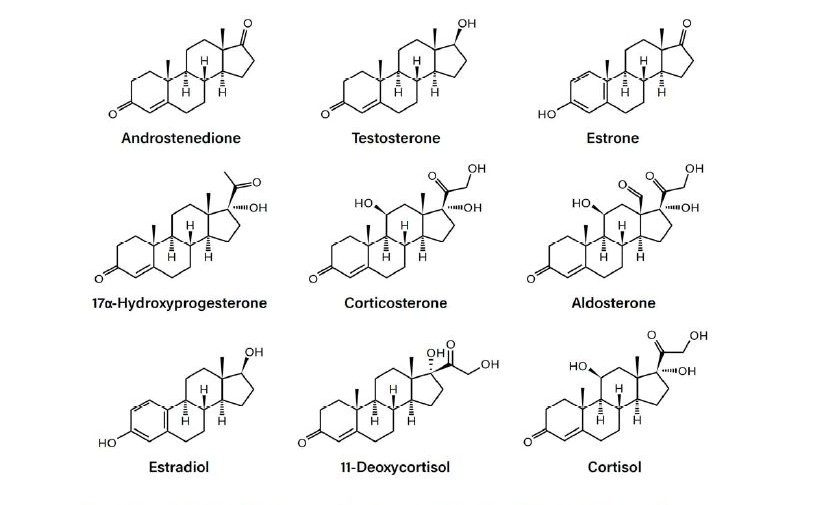 Estructuras de esteroides no conjugados (libres).