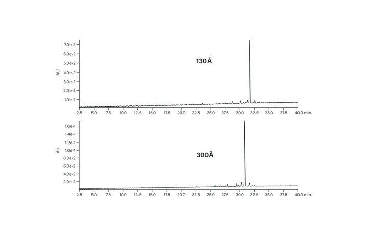 Figure 10. Effect of pore size on the chromatography of the hydrophobic peptide.