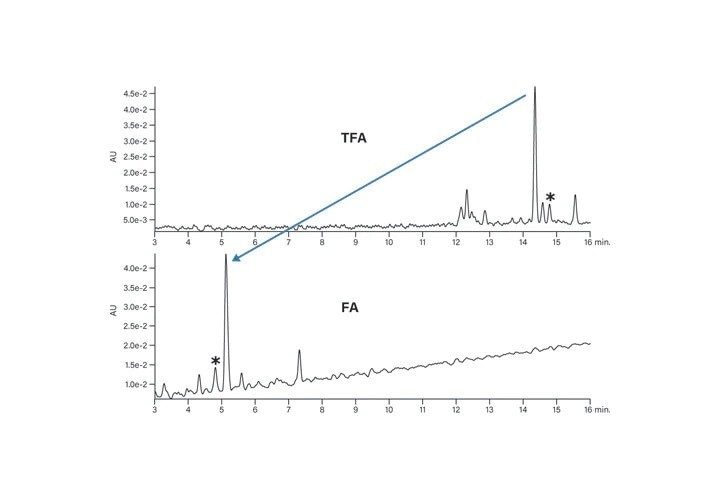 Figure 17. Effect of modifier on the basic peptide.