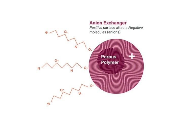 Abbildung 5. Anziehung von Peptiden zur Anionenaustauscher-Säulenpackung