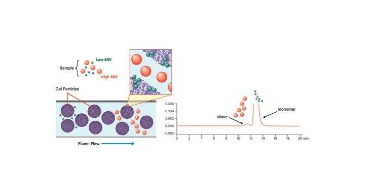 Abbildung 6. Probenelution mittels Größenausschluss-Chromatographie