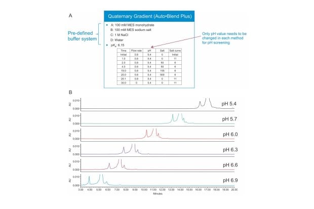 (A) Auto·Blend Plus method gradient table for trastuzumab pH optimization. (B) pH optimization on trastuzumab charge variants separation. Gradient: 20 mM MES buffer, 50–155 mM NaCl in 15 min.