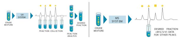 Column Switching Fraction Collection.