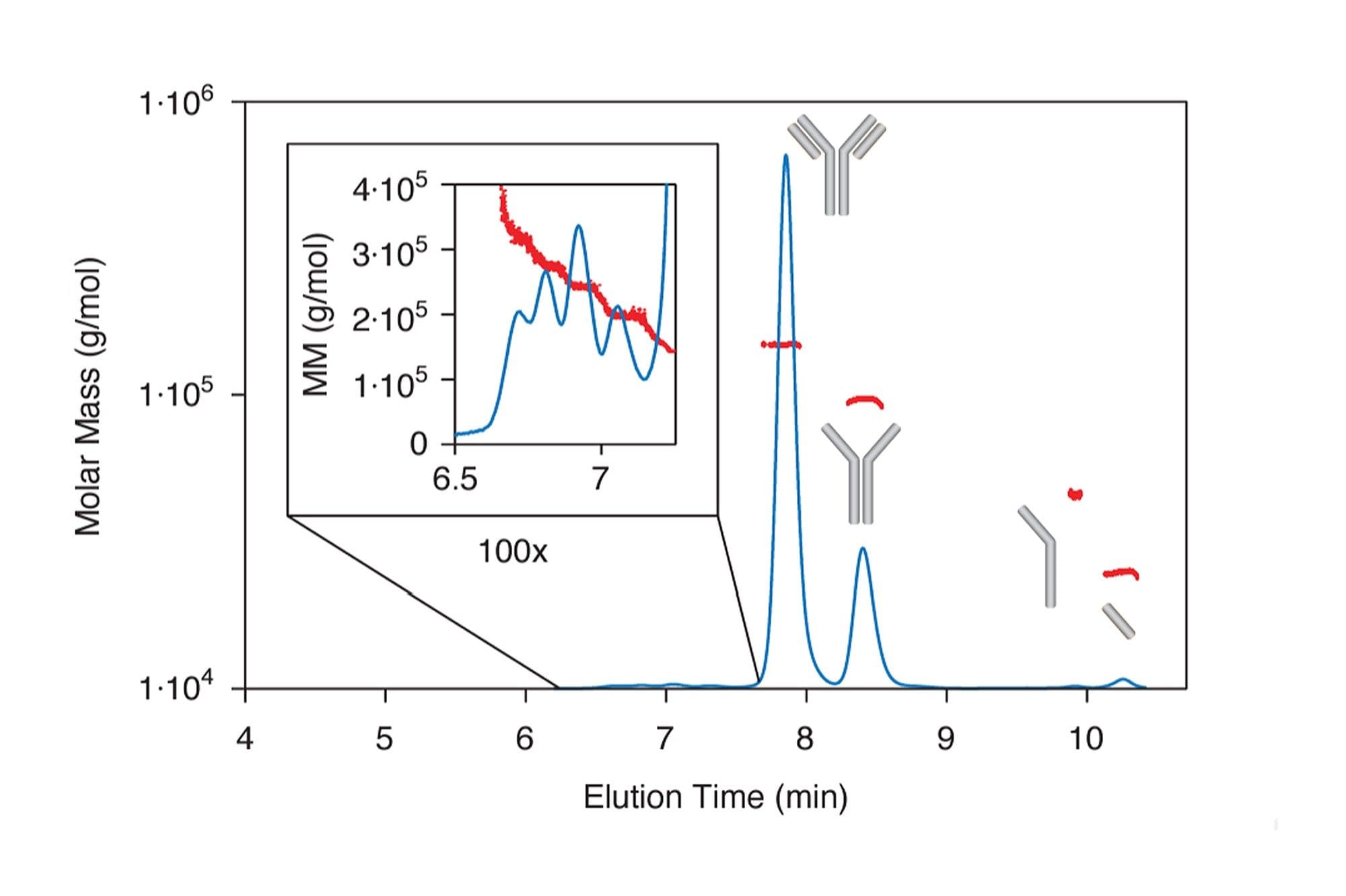 Characterize aggregates and fragments with SEC-MALS