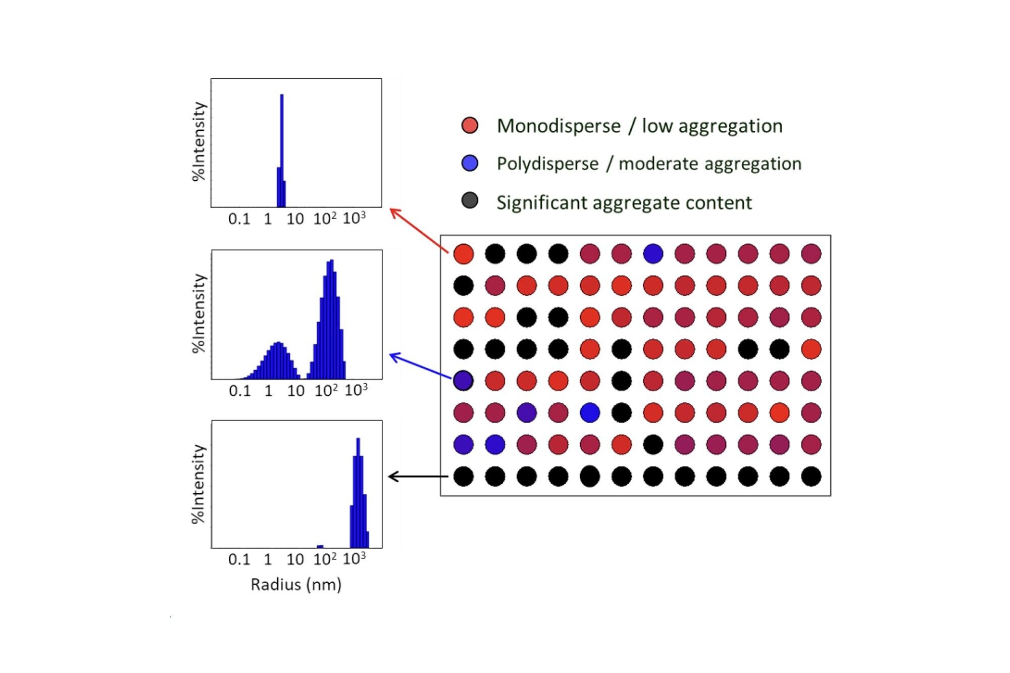 HT-DLS provides more sizing and aggregation data, on more samples and more formulations with far less effort