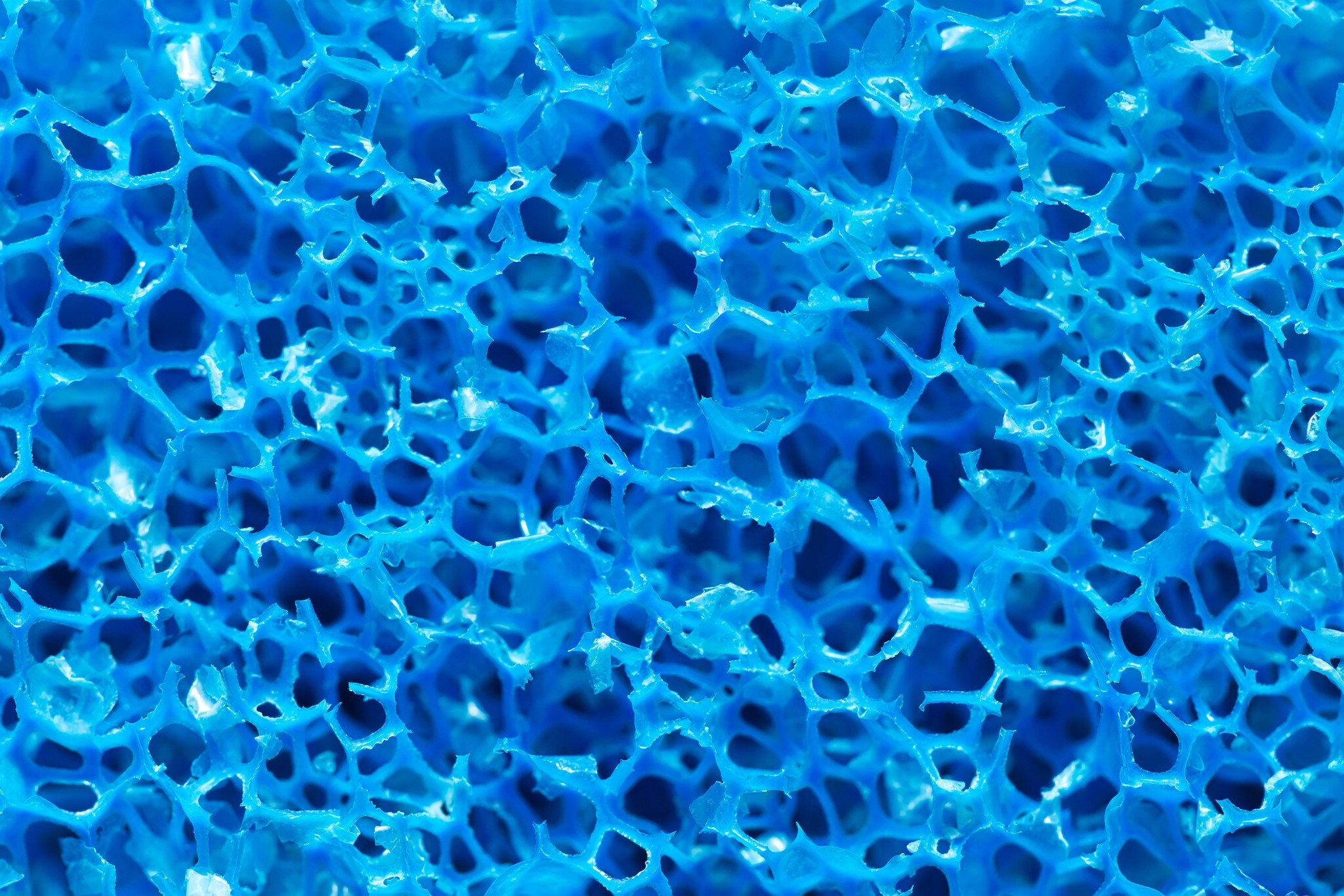 Polymère poreux bleu
