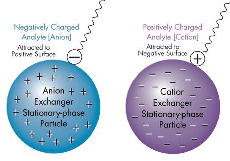 Figure T : Chromatographie par échange d’ions