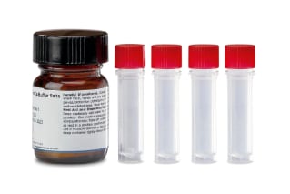 RapiZyme Trypsin, MS Grade, 4/pk with Buffer