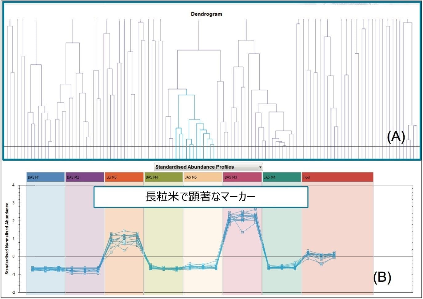 Correlation Analysis（相関分析）によって分離された長粒米中の対象マーカー。