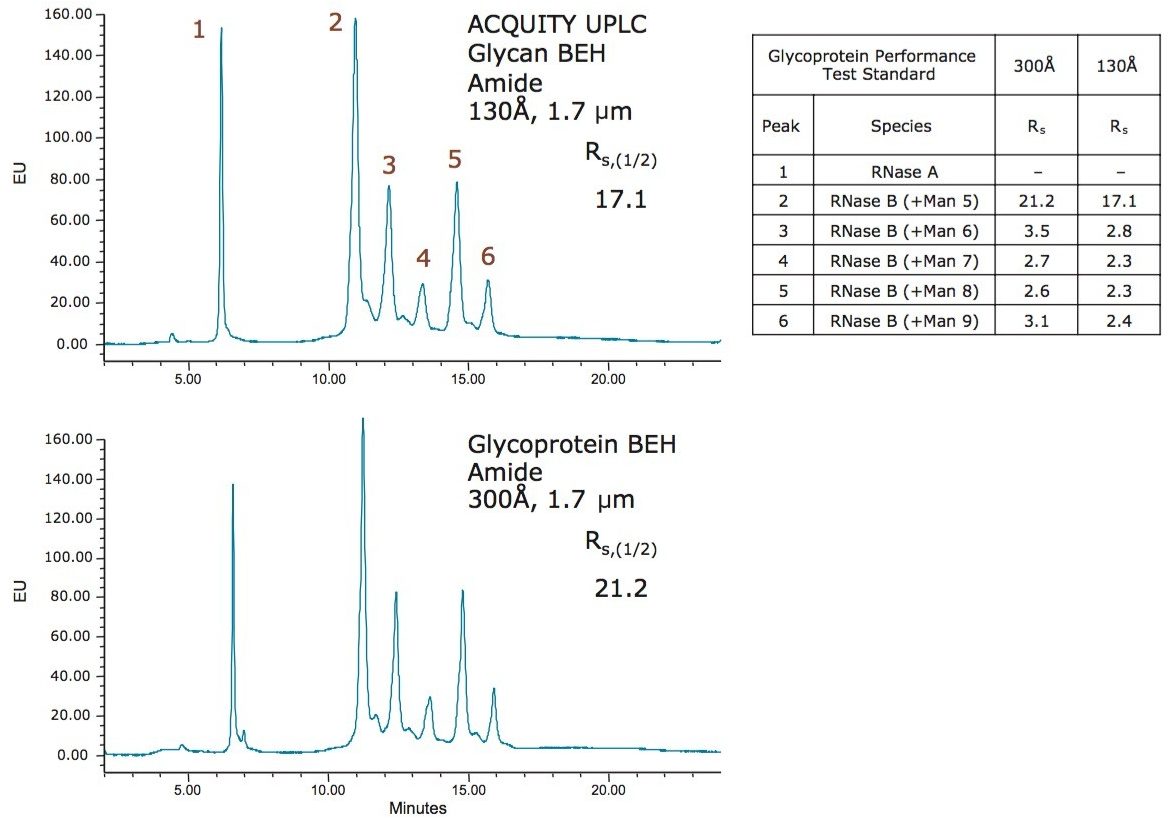 Glycoprotein BEH Amide 300Å、1.7 µm カラムと BEH Amide、130Å、1.7 µm カラムを用いた Glycoprotein Performance Test Standard（RNase A + RNase B グライコフォーム）の分離。