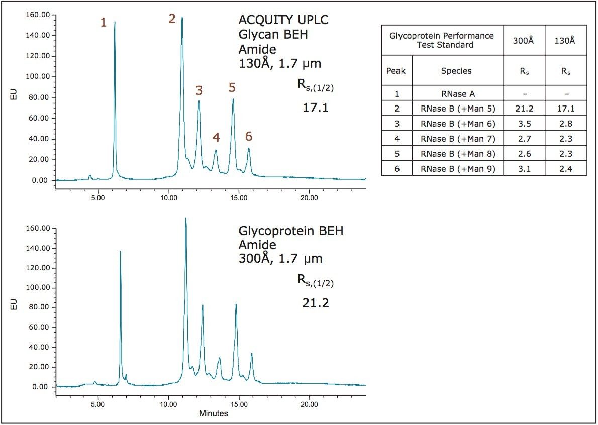 分别采用BEH Amide 300Å, 1.7 µm糖蛋白分析专用柱和BEH Amide, 130Å, 1.7 µm色谱柱得到的糖蛋白性能测试标准品（核糖核酸酶A +核糖核酸酶B糖型）的分离结果。