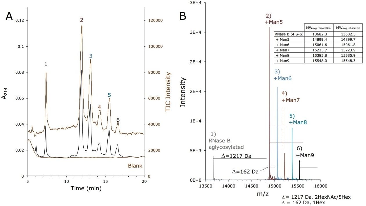 RNase B の HILIC-MS。