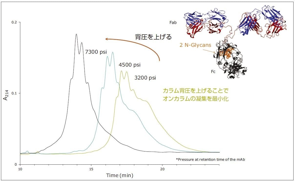 IgG の HILIC 分離におけるカラム背圧の影響。トラスツズマブ（1 µg）を Glycoprotein BEH Amide、300Å、1.7 µm、2.1×150mm カラムと流路制限有りもしくは無しで分離[PDB:1IGT]。