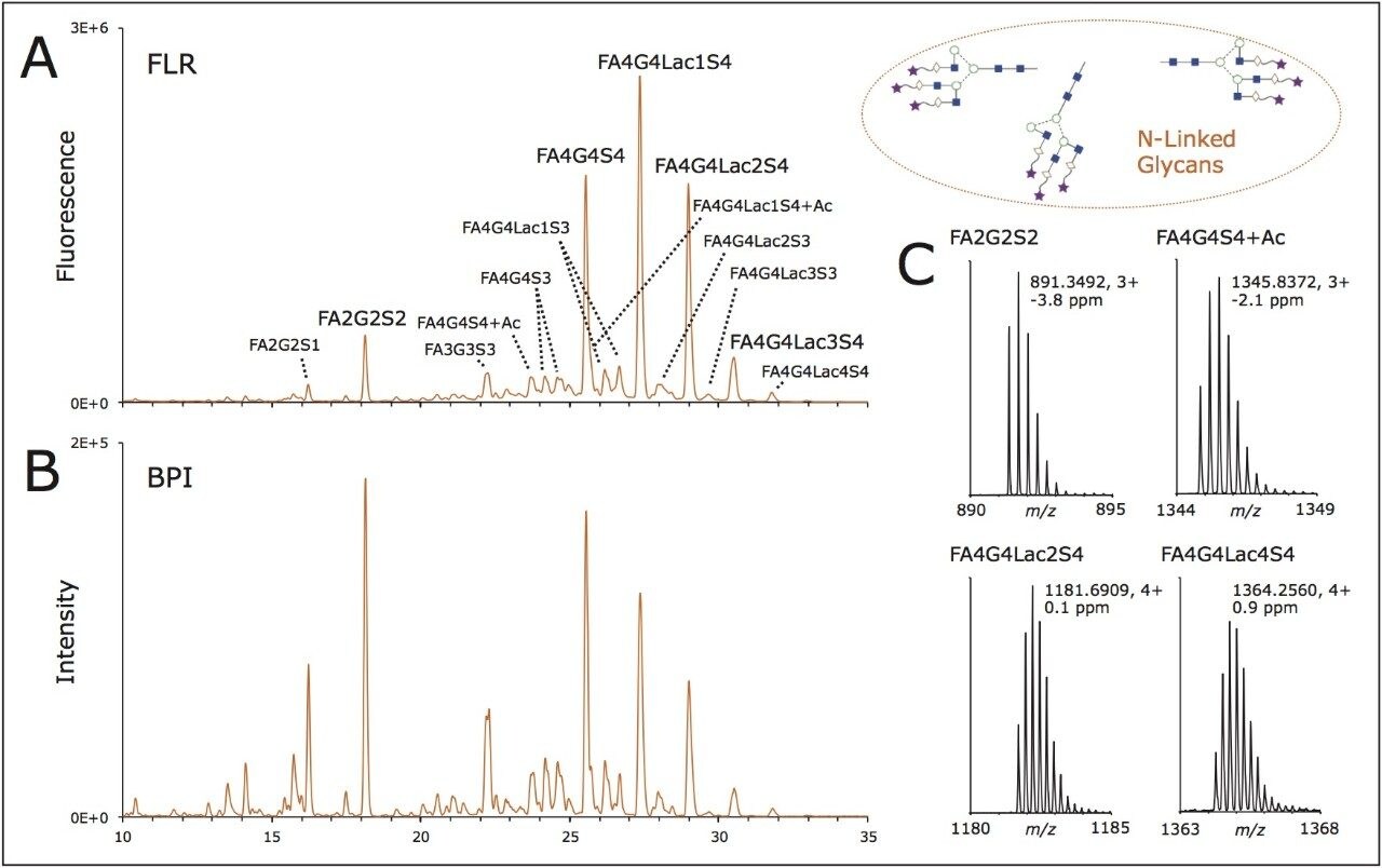遺伝子組換えヒト EPO の N および O 結合型グリコシル化の包括的な特性解析 Waters