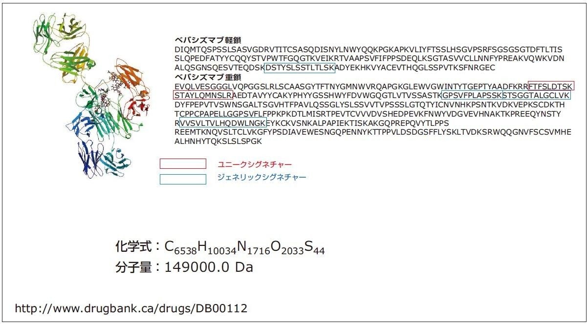 モノクローナル抗体薬ベバシズマブ (Avastin) の構造。