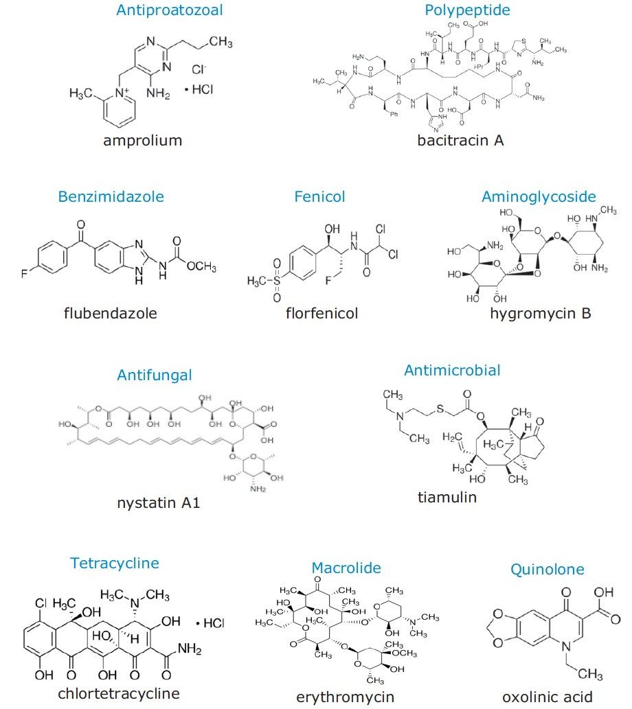 本研究での代表的な動物用医薬品の構造式