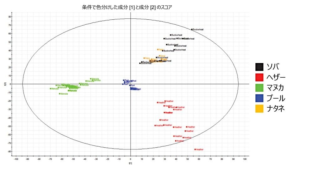主成分分析（PCA）スコア