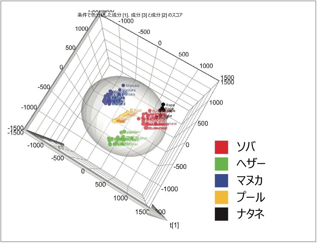 OPLS-DA スコア