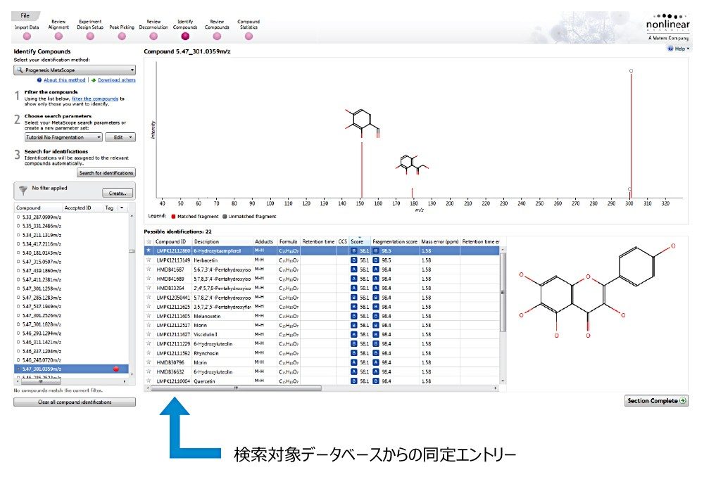 データベース検索に基づくマーカー化合物の仮同定の例