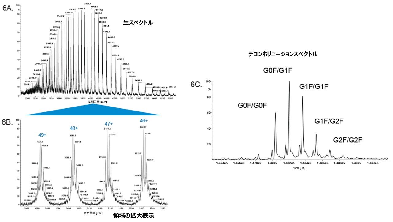 0.1% TFA が含まれている移動相で得られるインタクト質量スペクトル