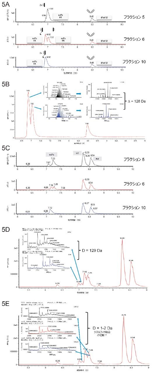 インフリキシマブフラクションのサブユニット分析