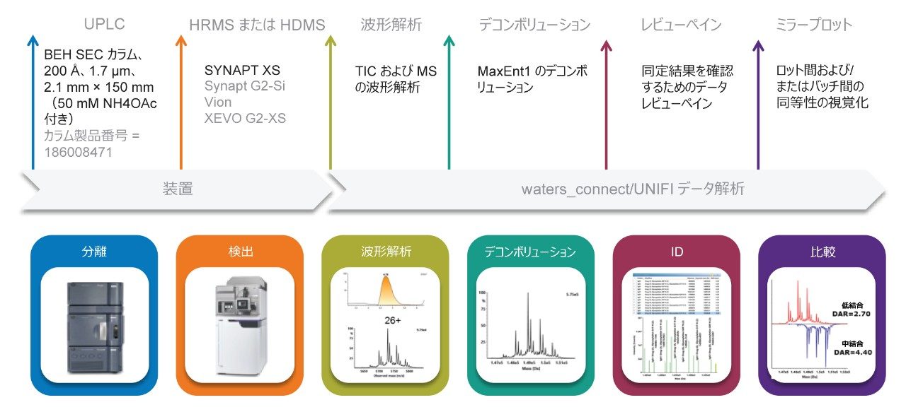 ネイティブ SEC LC-MS 分析のワークフロー